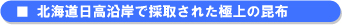 �̳�ƻ�����ߤǺμ褵�줿����κ���