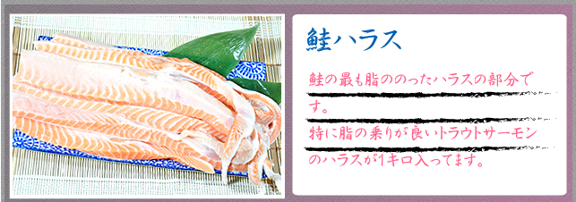 鮭ハラス　鮭の最も脂ののったハラスの部分です。特に脂の乗りが良いトラウトサーモンのハラスが１キロ入ってます。