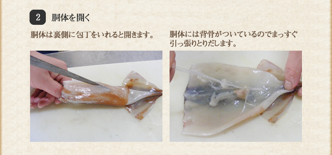 生イカのさばき方 かに 蟹 カニづくし 北海道 函館 かにの カネマス山口商店