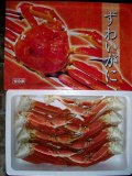 ���磻­(�����